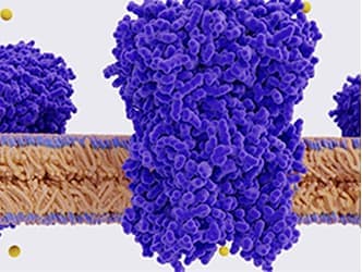 Ion channel