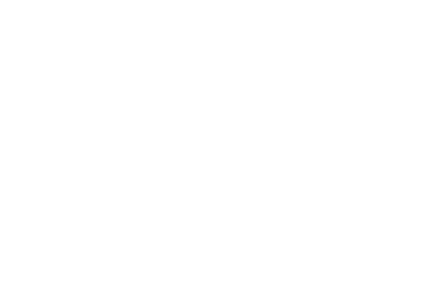 IT IS Foundation