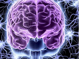 Brain system