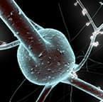 Single Neuron