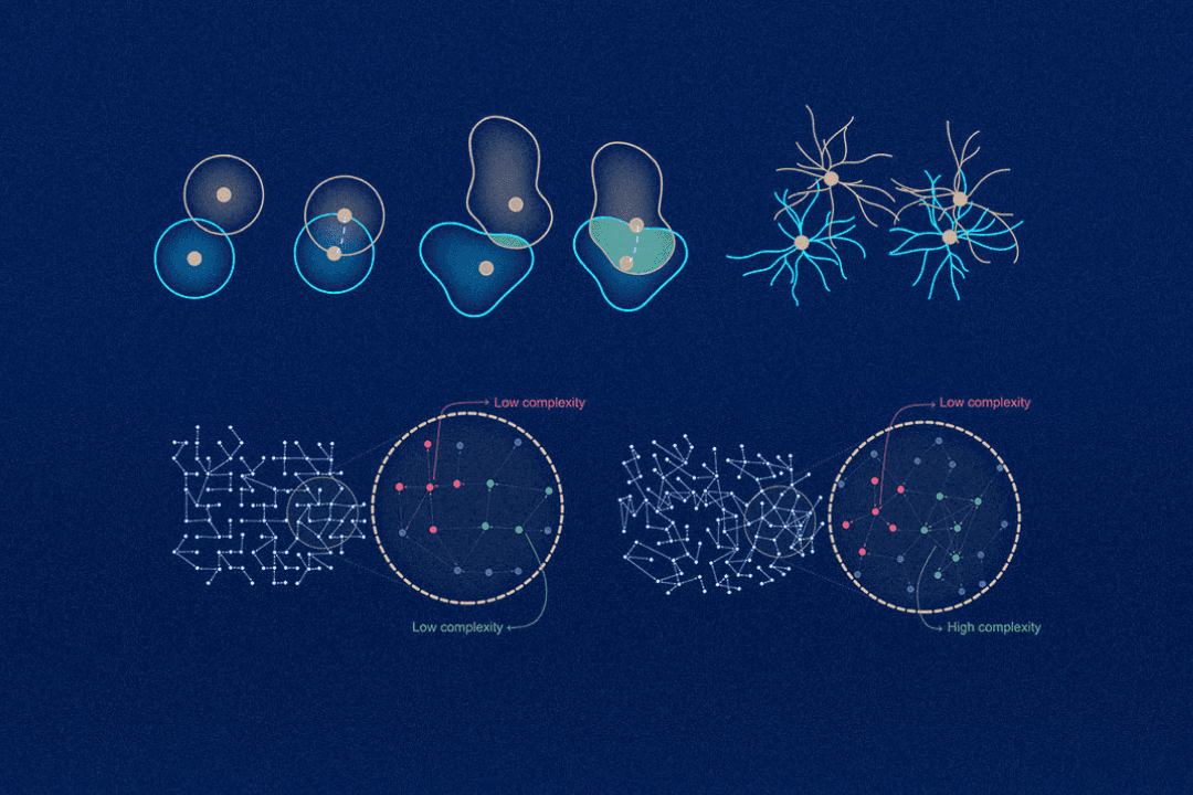 Our first fully OBI-authored paper is out in iScience