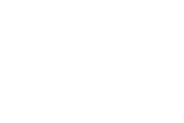 The Hebrew University of Jerusalem