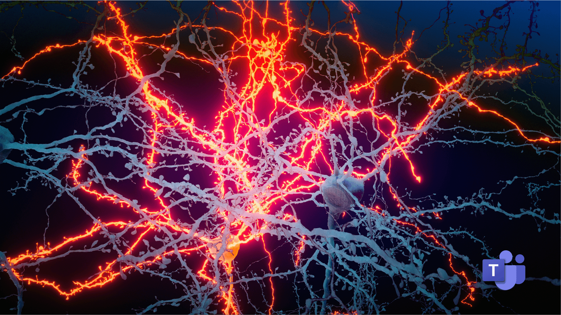 Webinar | Spines & Motif Participation