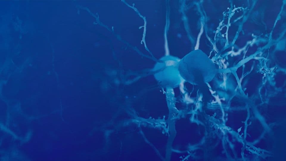 Visit Us at SfN 2025 and Experience Our Virtual Labs in Action!