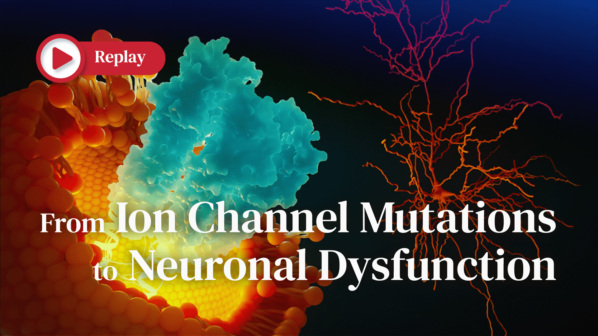 Replay | From Ion Channel Mutations to Neuronal Dysfunction