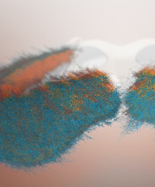 The Hippocampus Hub
